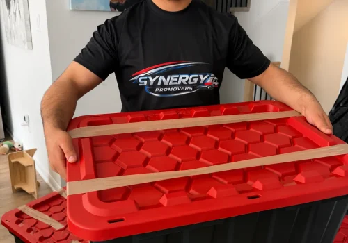 synergy pro movers